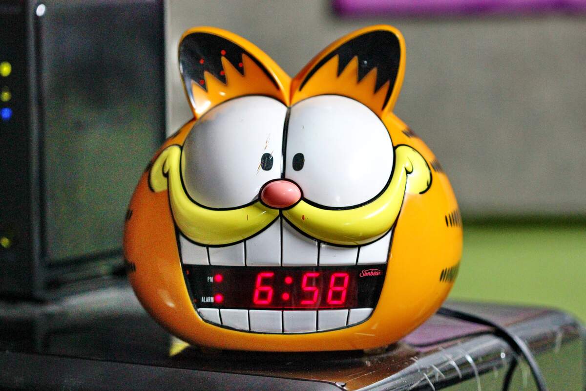 Garfield the Cat Day