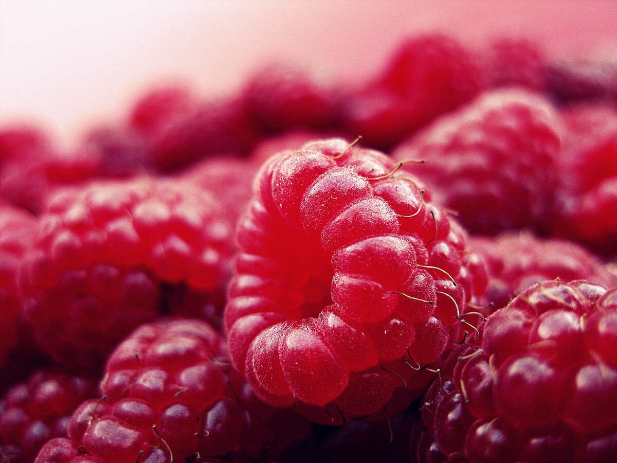 National Raspberry Bombe Day