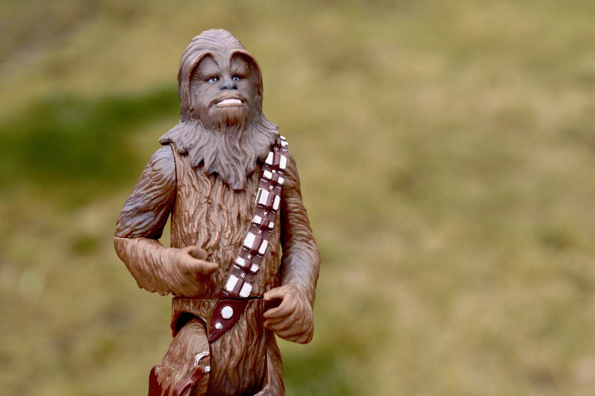 National Kiss a Wookiee Day