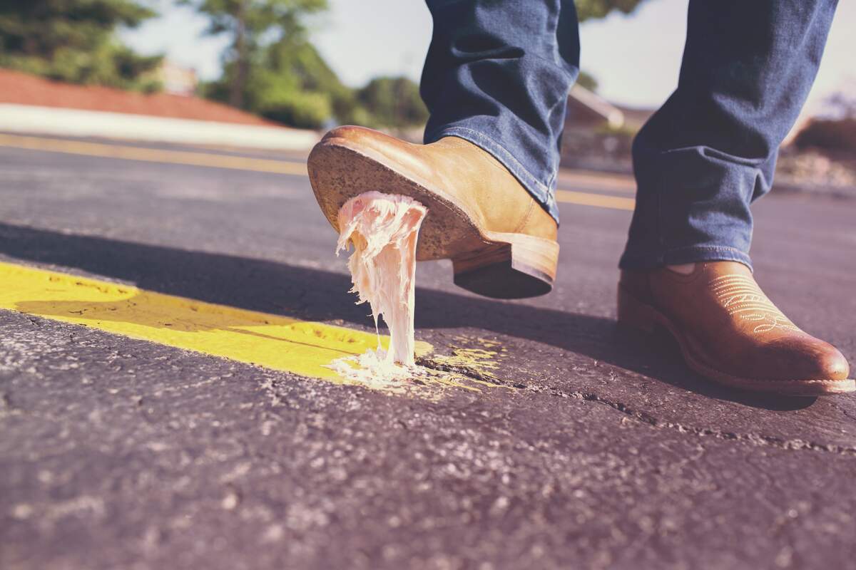 Chewing Gum Day