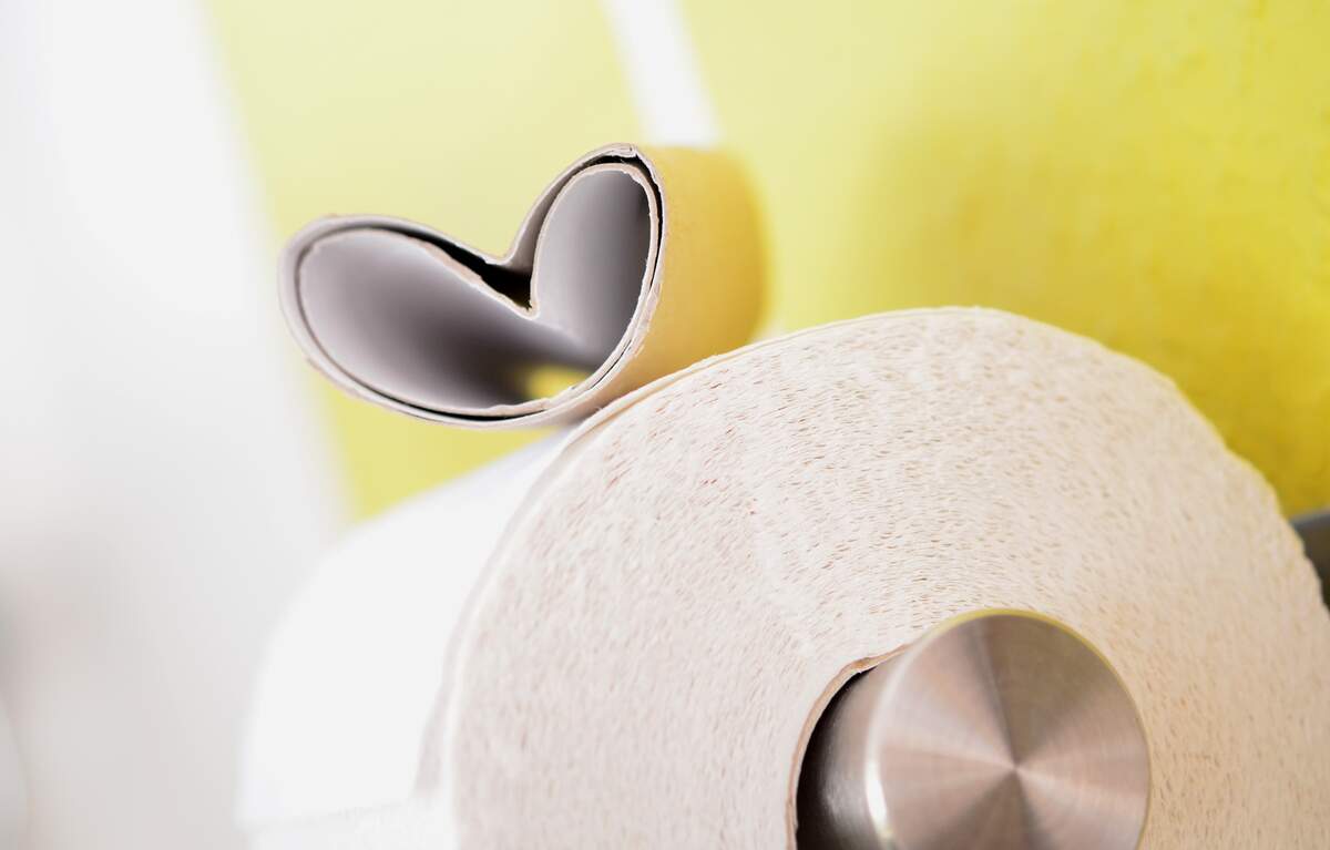 National Toilet Paper Day