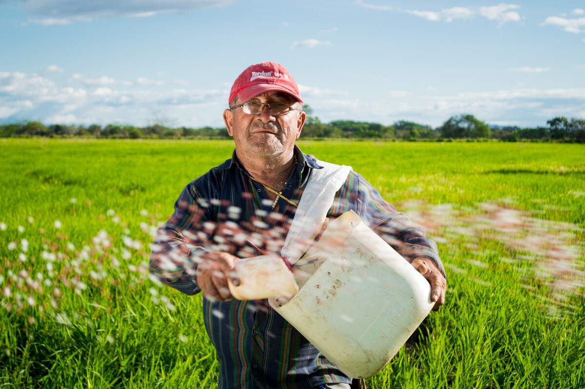 National Farmer's Day