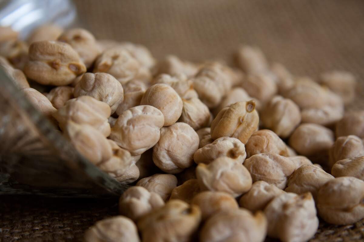 Garbanzo Bean Day