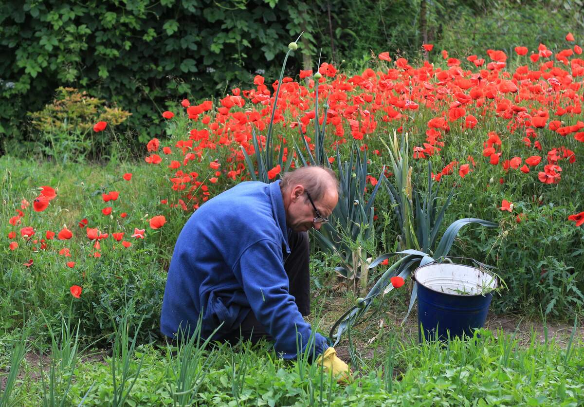 Weed Your Garden Day