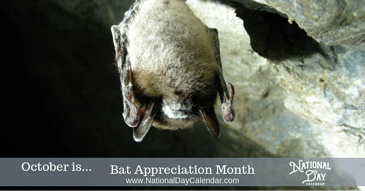 Bat Appreciation Month