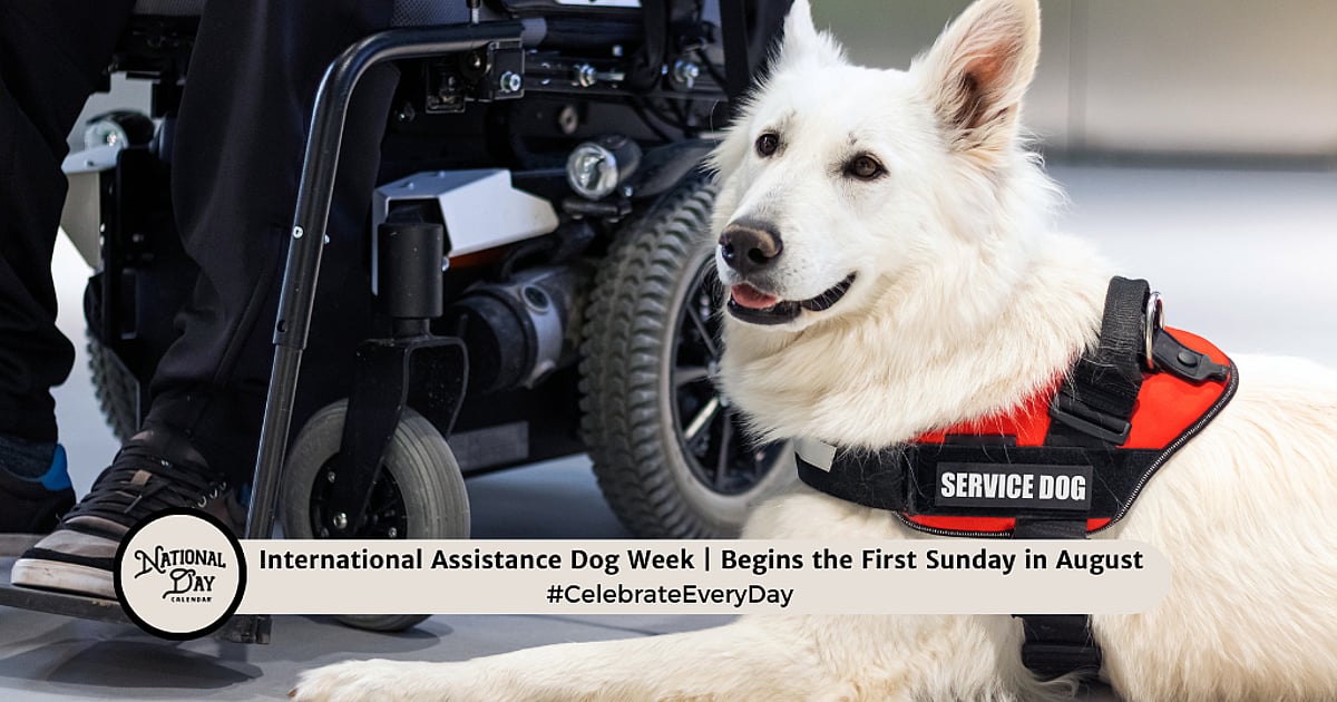 International Assistance Dog Week