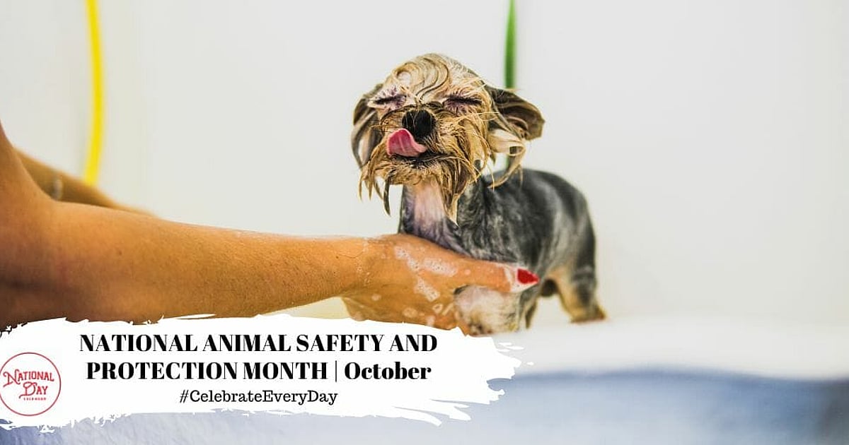 National Animal Safety and Protection Month