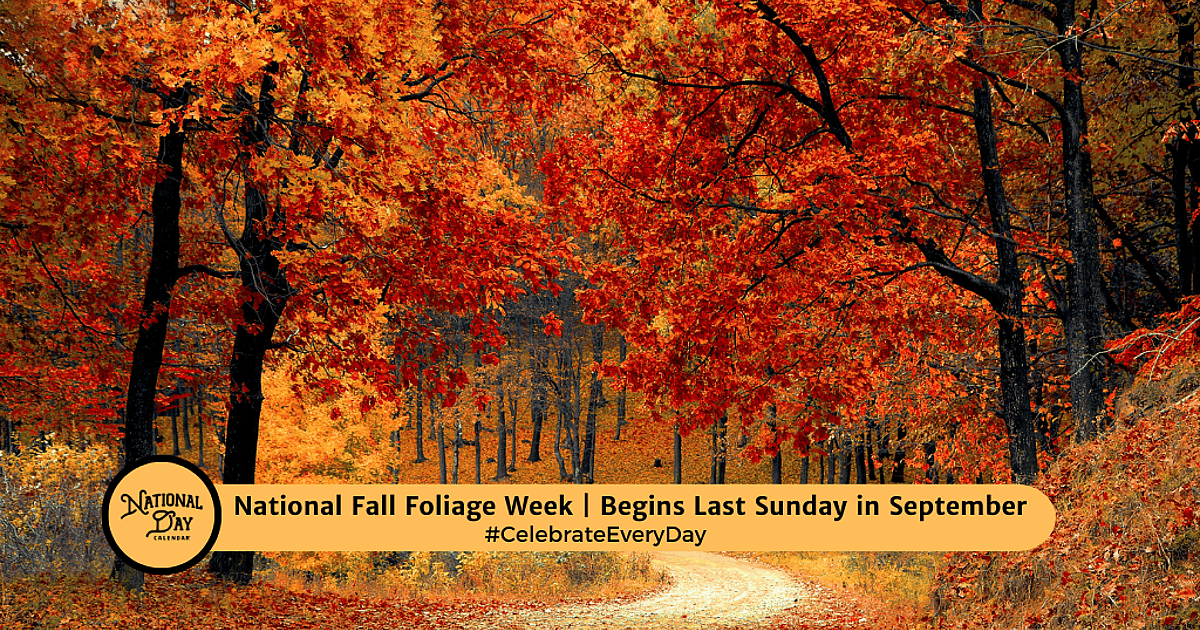 National Fall Foliage Week