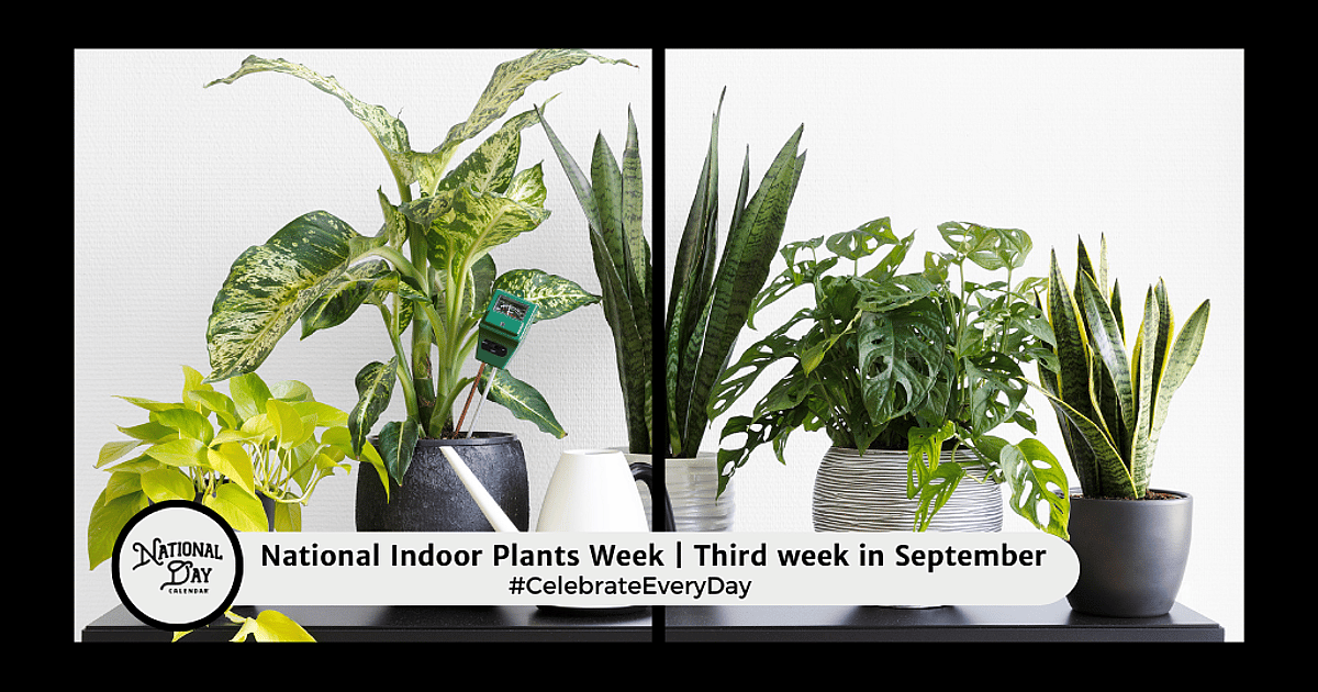 National Indoor Plant Week
