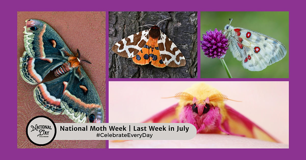 National Moth Week