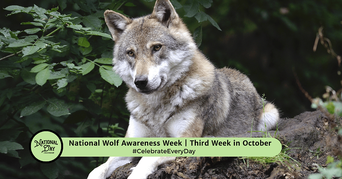 National Wolf Awareness Week