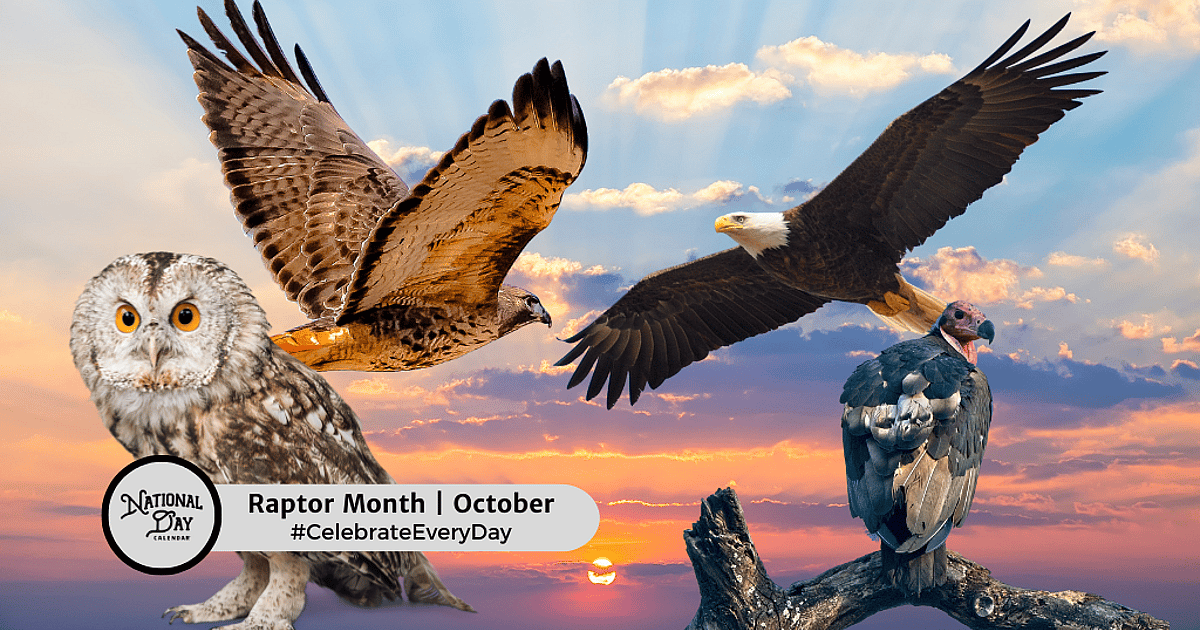 Raptor Month