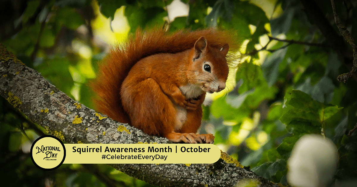 Squirrel Month