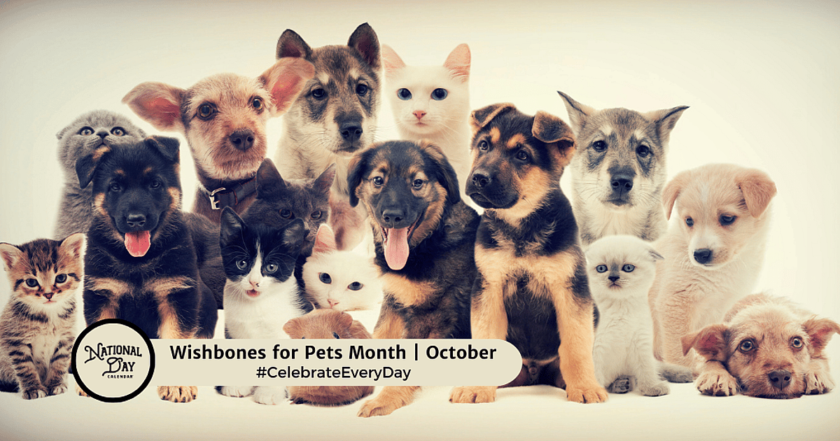 Wishbones for Pets Month