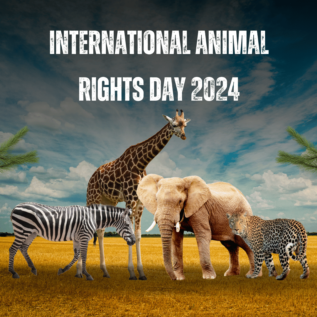 International Animal Rights Day 2024