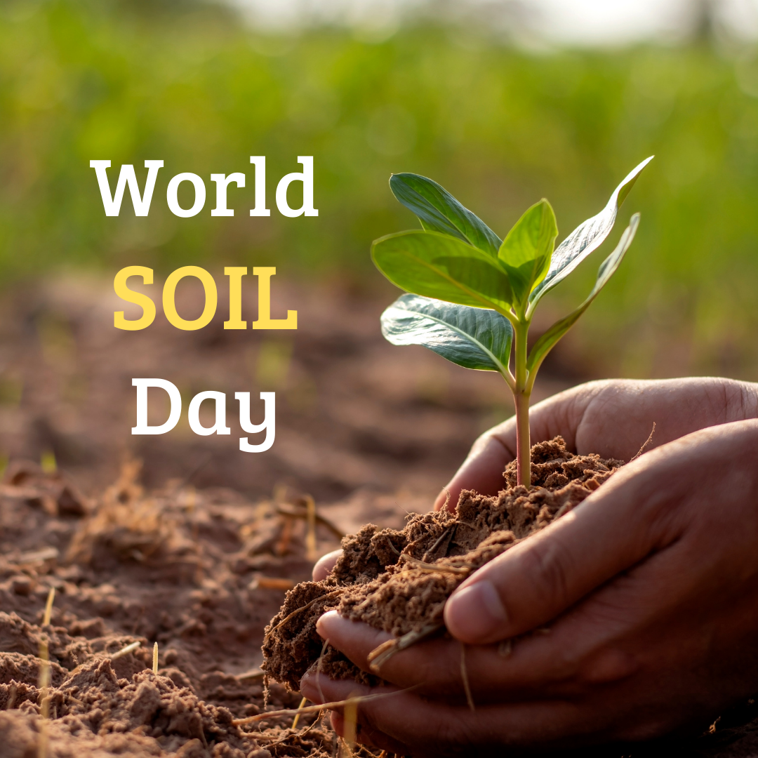 World Soil Day 2024