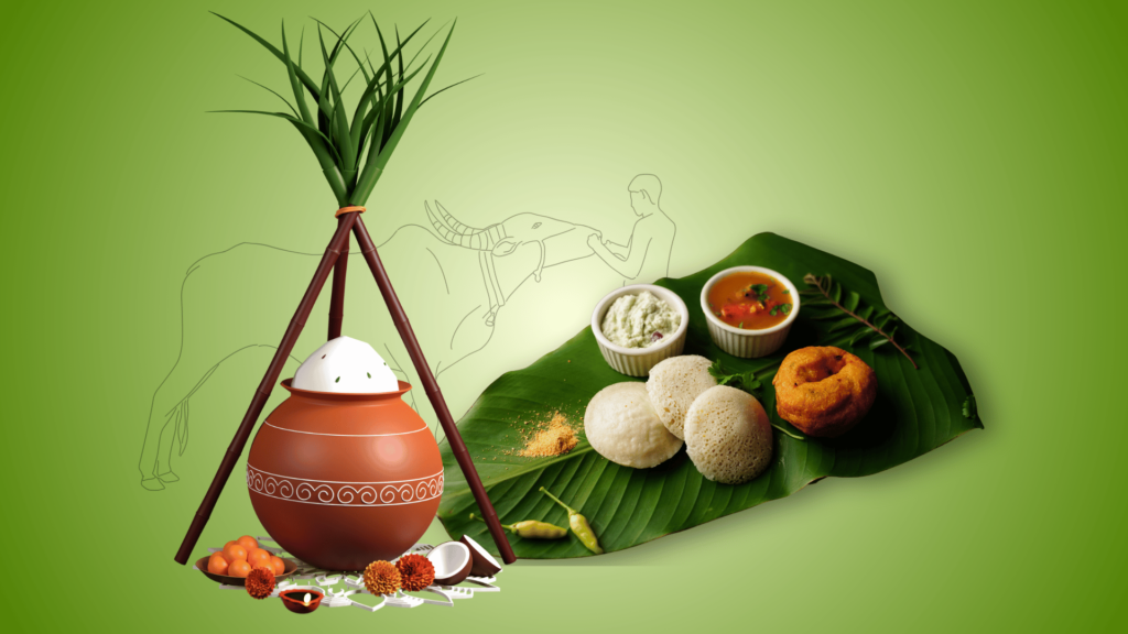 Pongal 2025 activities